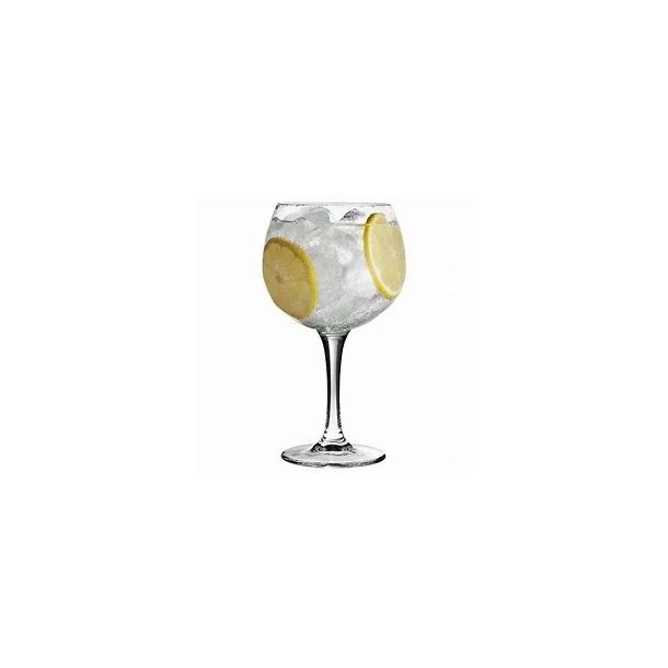 Gin glas (6 stk.)